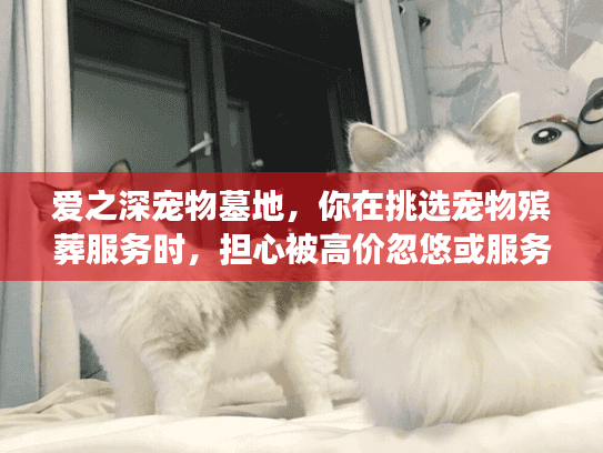爱之深宠物墓地，你在挑选宠物殡葬服务时，担心被高价忽悠或服务不贴心吗？