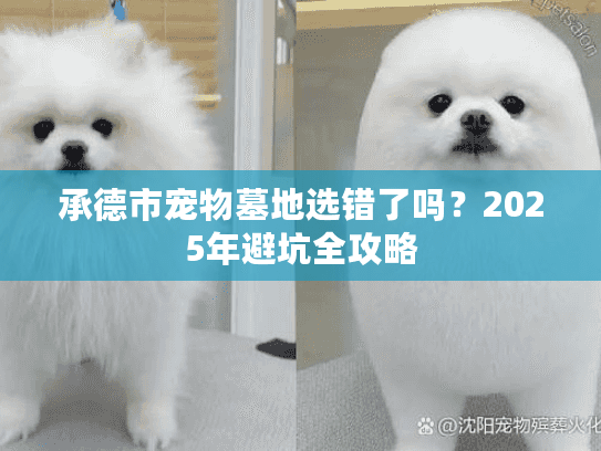 承德市宠物墓地选错了吗？2025年避坑全攻略