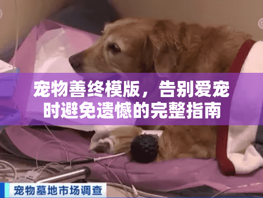 宠物善终模版，告别爱宠时避免遗憾的完整指南