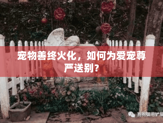 宠物善终火化，如何为爱宠尊严送别？