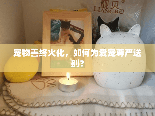 宠物善终火化，如何为爱宠尊严送别？