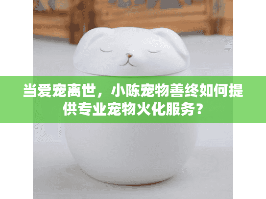 当爱宠离世，小陈宠物善终如何提供专业宠物火化服务？