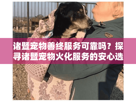 诸暨宠物善终服务可靠吗？探寻诸暨宠物火化服务的安心选项