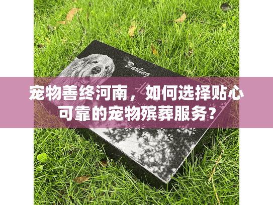 宠物善终河南，如何选择贴心可靠的宠物殡葬服务？