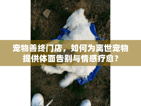 宠物善终门店，如何为离世宠物提供体面告别与情感疗愈？
