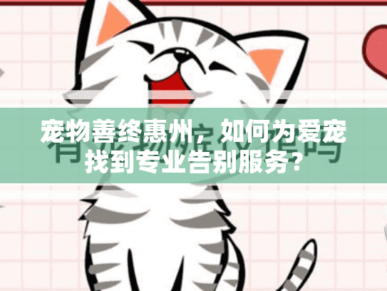 宠物善终惠州，如何为爱宠找到专业告别服务？