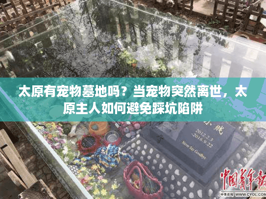 太原有宠物墓地吗？当宠物突然离世，太原主人如何避免踩坑陷阱