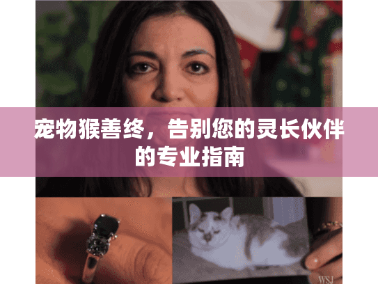 宠物猴善终，告别您的灵长伙伴的专业指南