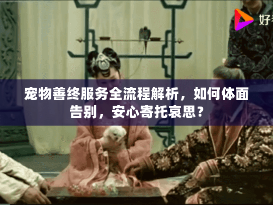 宠物善终服务全流程解析，如何体面告别，安心寄托哀思？