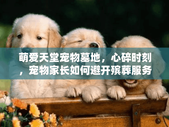 萌爱天堂宠物墓地，心碎时刻，宠物家长如何避开殡葬服务坑洞？