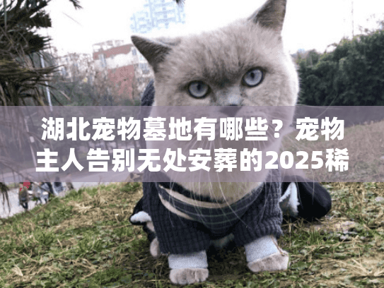 湖北宠物墓地有哪些？宠物主人告别无处安葬的2025稀缺方案