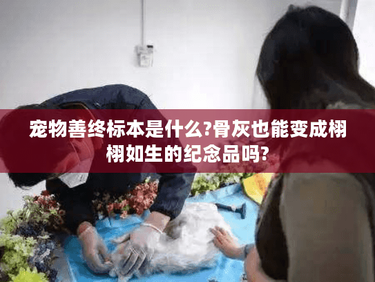 宠物善终标本是什么?骨灰也能变成栩栩如生的纪念品吗?