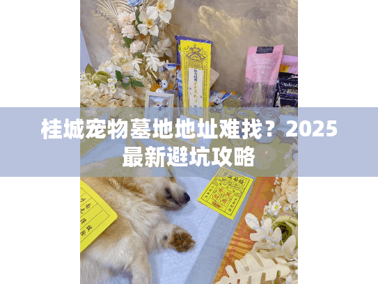 桂城宠物墓地地址难找？2025最新避坑攻略