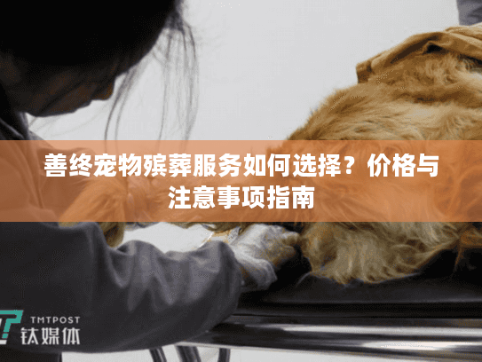 善终宠物殡葬服务如何选择？价格与注意事项指南
