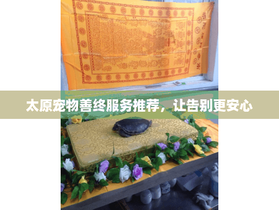 太原宠物善终服务推荐，让告别更安心