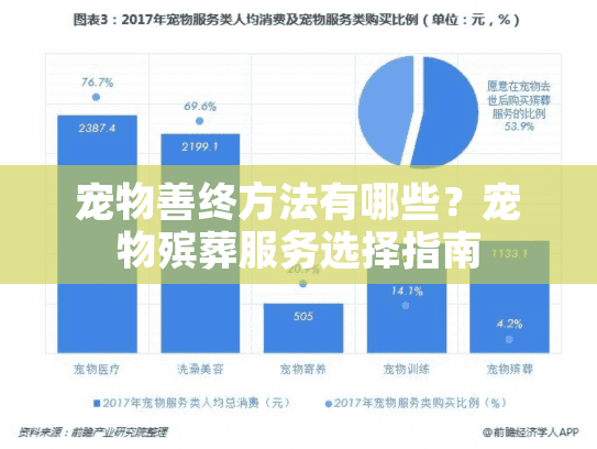 宠物善终方法有哪些？宠物殡葬服务选择指南