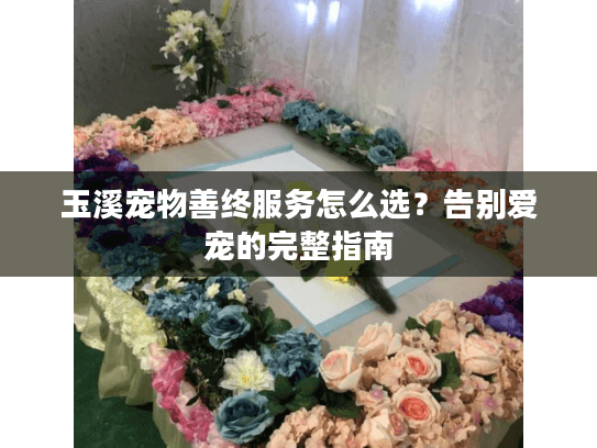 玉溪宠物善终服务怎么选？告别爱宠的完整指南