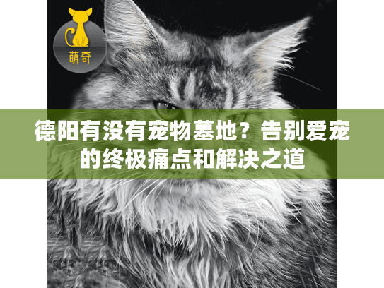 德阳有没有宠物墓地？告别爱宠的终极痛点和解决之道