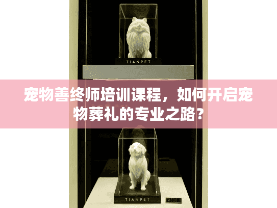 宠物善终师培训课程，如何开启宠物葬礼的专业之路？