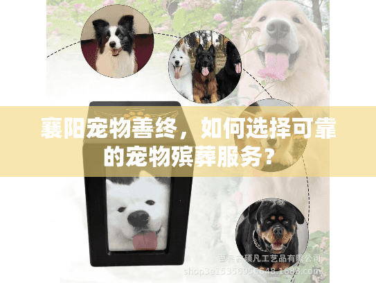 襄阳宠物善终，如何选择可靠的宠物殡葬服务？