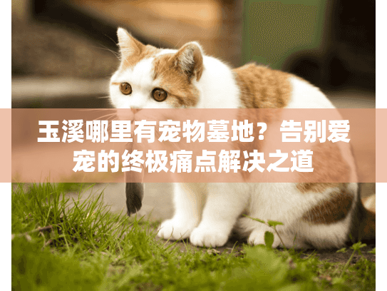 玉溪哪里有宠物墓地？告别爱宠的终极痛点解决之道