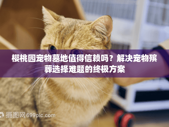 樱桃园宠物墓地值得信赖吗？解决宠物殡葬选择难题的终极方案