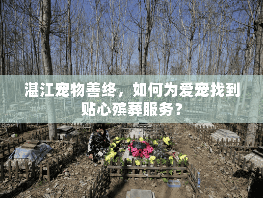 湛江宠物善终，如何为爱宠找到贴心殡葬服务？
