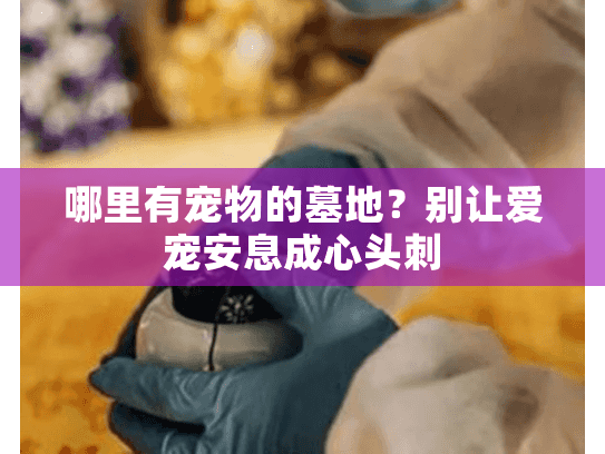 哪里有宠物的墓地？别让爱宠安息成心头刺