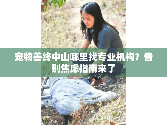 宠物善终中山哪里找专业机构？告别焦虑指南来了