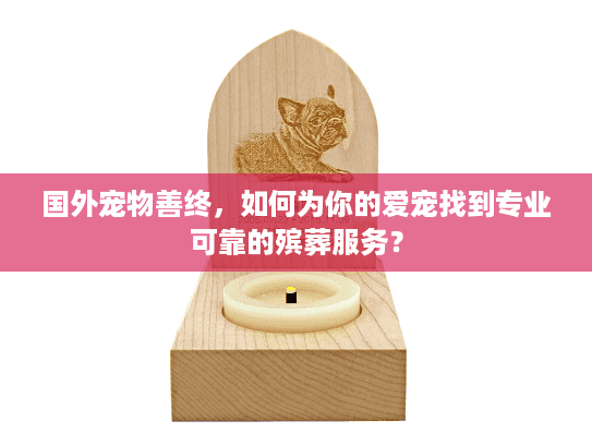 国外宠物善终，如何为你的爱宠找到专业可靠的殡葬服务？