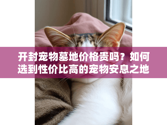开封宠物墓地价格贵吗？如何选到性价比高的宠物安息之地