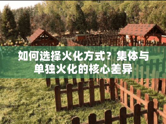 如何选择火化方式？集体与单独火化的核心差异