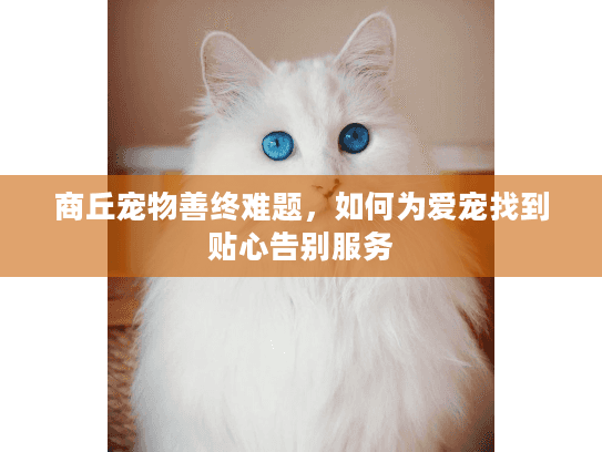商丘宠物善终难题，如何为爱宠找到贴心告别服务