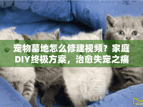 宠物墓地怎么修建视频？家庭DIY终极方案，治愈失宠之痛！