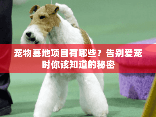 宠物墓地项目有哪些?告别爱宠时你该知道的秘密 宠物墓地项目有哪些?告别爱宠时你该知道的秘密