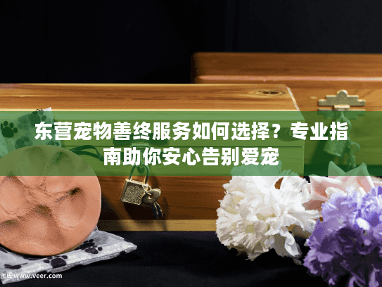 东营宠物善终服务如何选择？专业指南助你安心告别爱宠