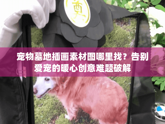 宠物墓地插画素材图哪里找？告别爱宠的暖心创意难题破解