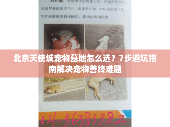 北京天使城宠物墓地怎么选？7步避坑指南解决宠物善终难题