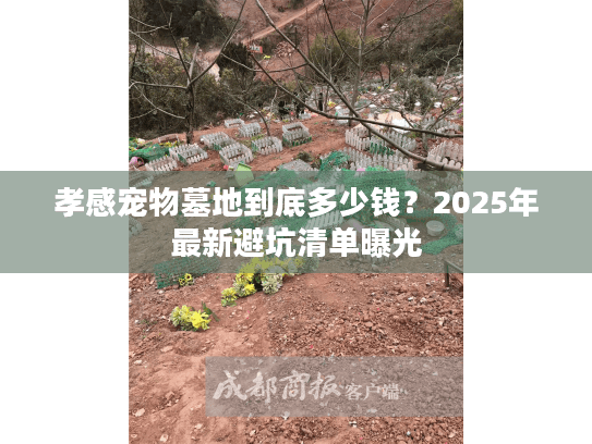 孝感宠物墓地到底多少钱？2025年最新避坑清单曝光