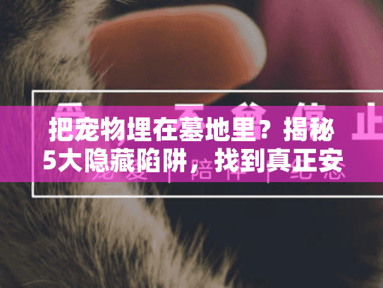 把宠物埋在墓地里？揭秘5大隐藏陷阱，找到真正安息之所