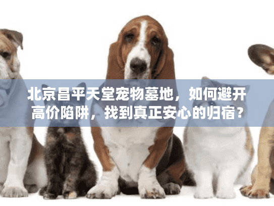 北京昌平天堂宠物墓地，如何避开高价陷阱，找到真正安心的归宿？