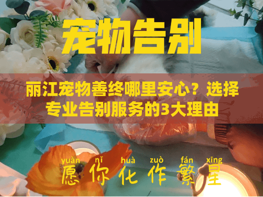 丽江宠物善终哪里安心？选择专业告别服务的3大理由