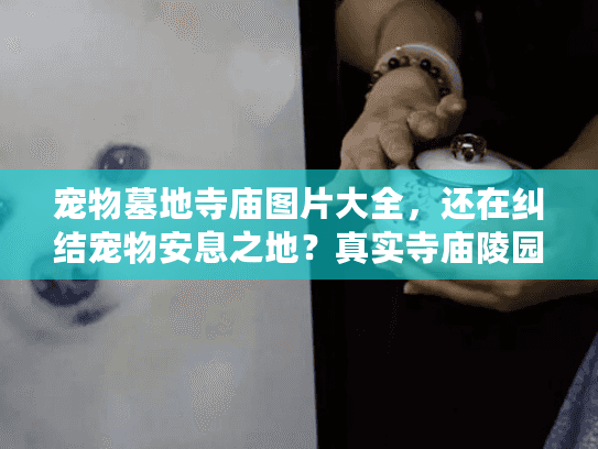 宠物墓地寺庙图片大全，还在纠结宠物安息之地？真实寺庙陵园实景助你突围选择困境