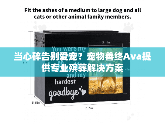 当心碎告别爱宠？宠物善终Ava提供专业殡葬解决方案