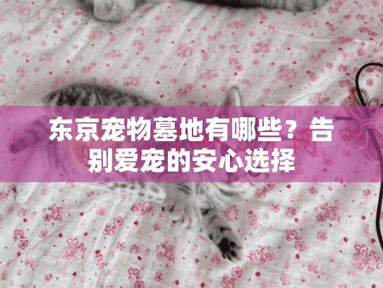 东京宠物墓地有哪些？告别爱宠的安心选择