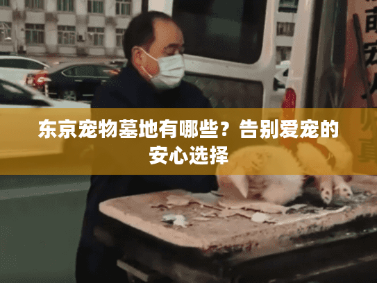 东京宠物墓地有哪些？告别爱宠的安心选择