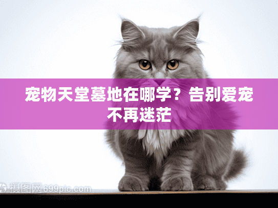 宠物天堂墓地在哪学？告别爱宠不再迷茫