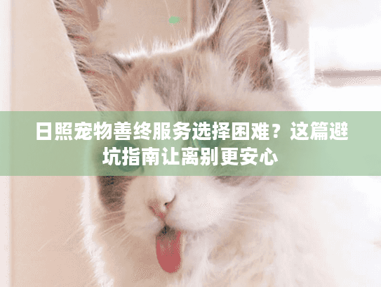 日照宠物善终服务选择困难？这篇避坑指南让离别更安心
