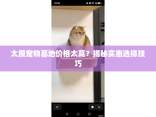 太原宠物墓地价格太高？揭秘实惠选择技巧