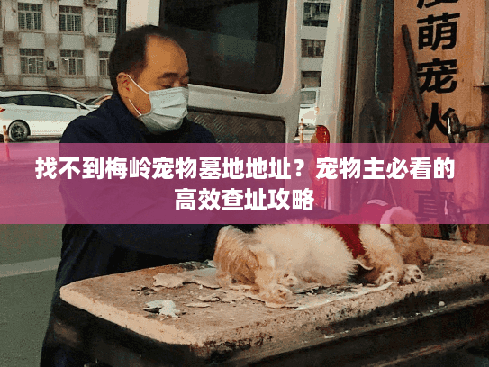 找不到梅岭宠物墓地地址？宠物主必看的高效查址攻略